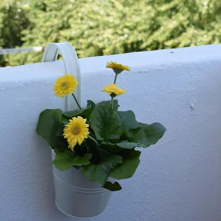 Peneco Ii Apartment Albufeira