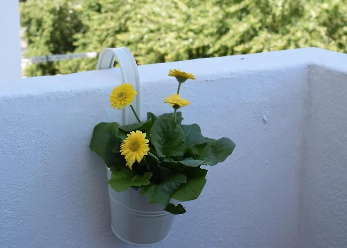 Peneco Ii Apartmán Albufeira